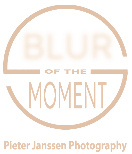 Blur Of The Moment